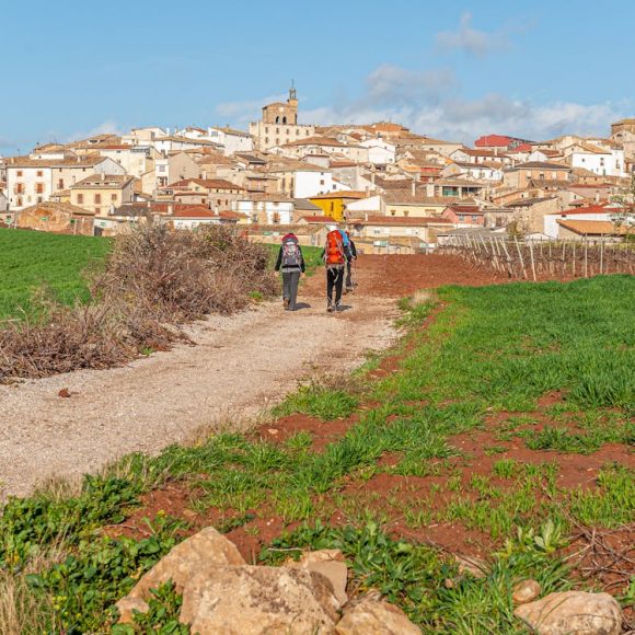 CAMMINO DI FRANCESCO